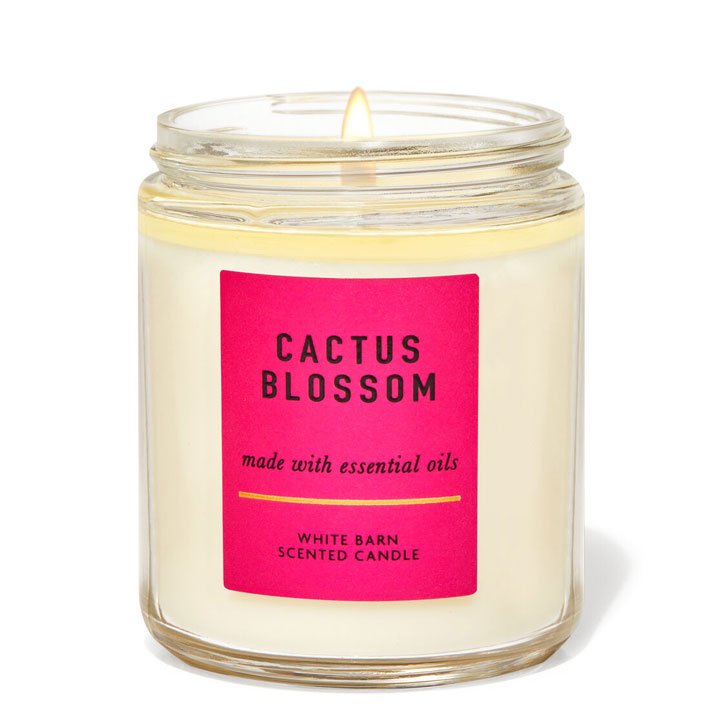 Nến thơm Bath & Body Works White Barn Cactus Blossom 1 bấc, 198g